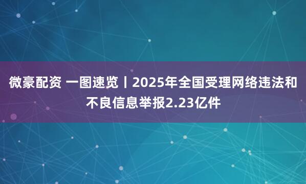 微豪配资 一图速览丨2025年全国受理网络违法和不良信息举报2.23亿件