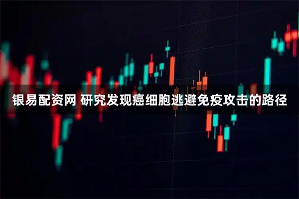 银易配资网 研究发现癌细胞逃避免疫攻击的路径