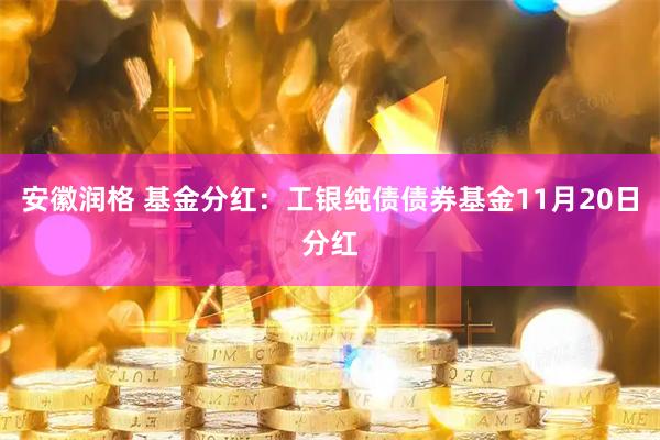 安徽润格 基金分红：工银纯债债券基金11月20日分红