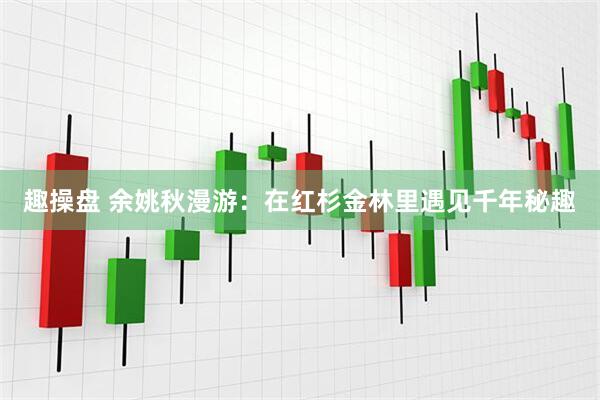 趣操盘 余姚秋漫游：在红杉金林里遇见千年秘趣